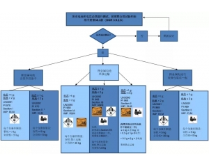 鋰電池分類規(guī)則及運輸要求匯總